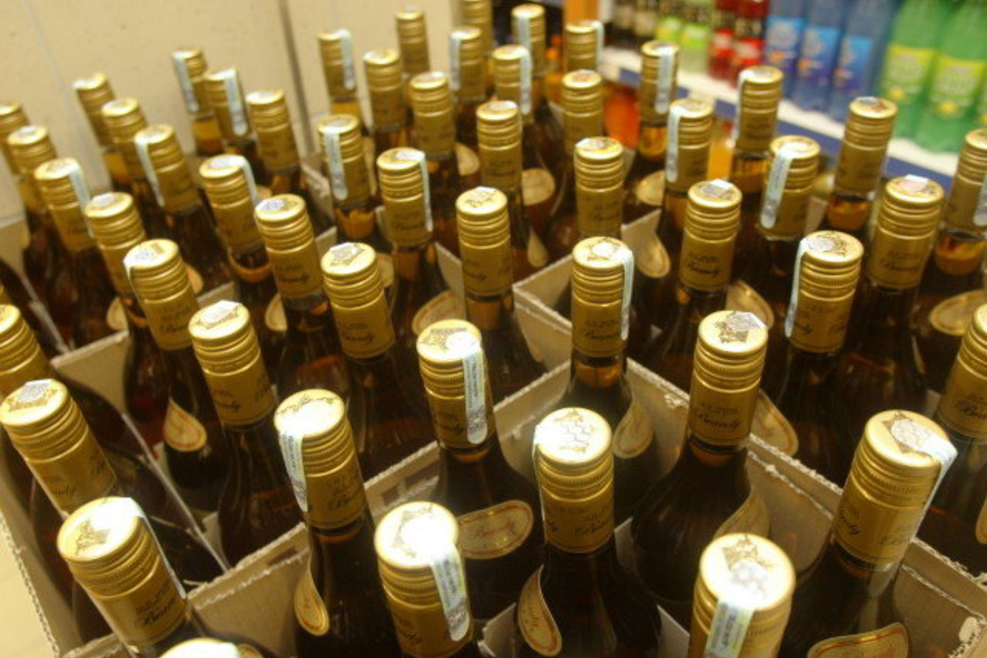 Į alkoholį įjunkęs dvylikametis vogė, kad patenkintų savo poreikius.