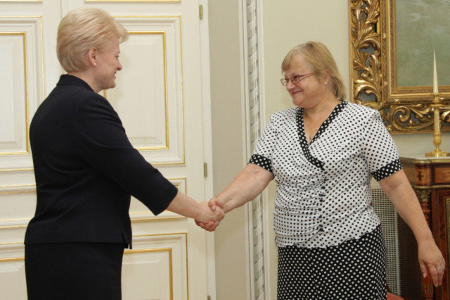 L.Garnelienė penktadienį susitiko su prezidente D.Grybauskaite.