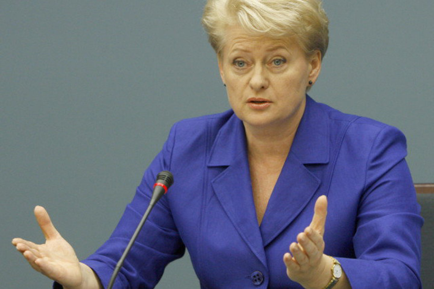 „Twitter“ socialiniame tinkle egzistuoja vartotojas, pasivadinęs „DGrybauskaite“ ir naudojantis Lietuvos vadovės atvaizdą.