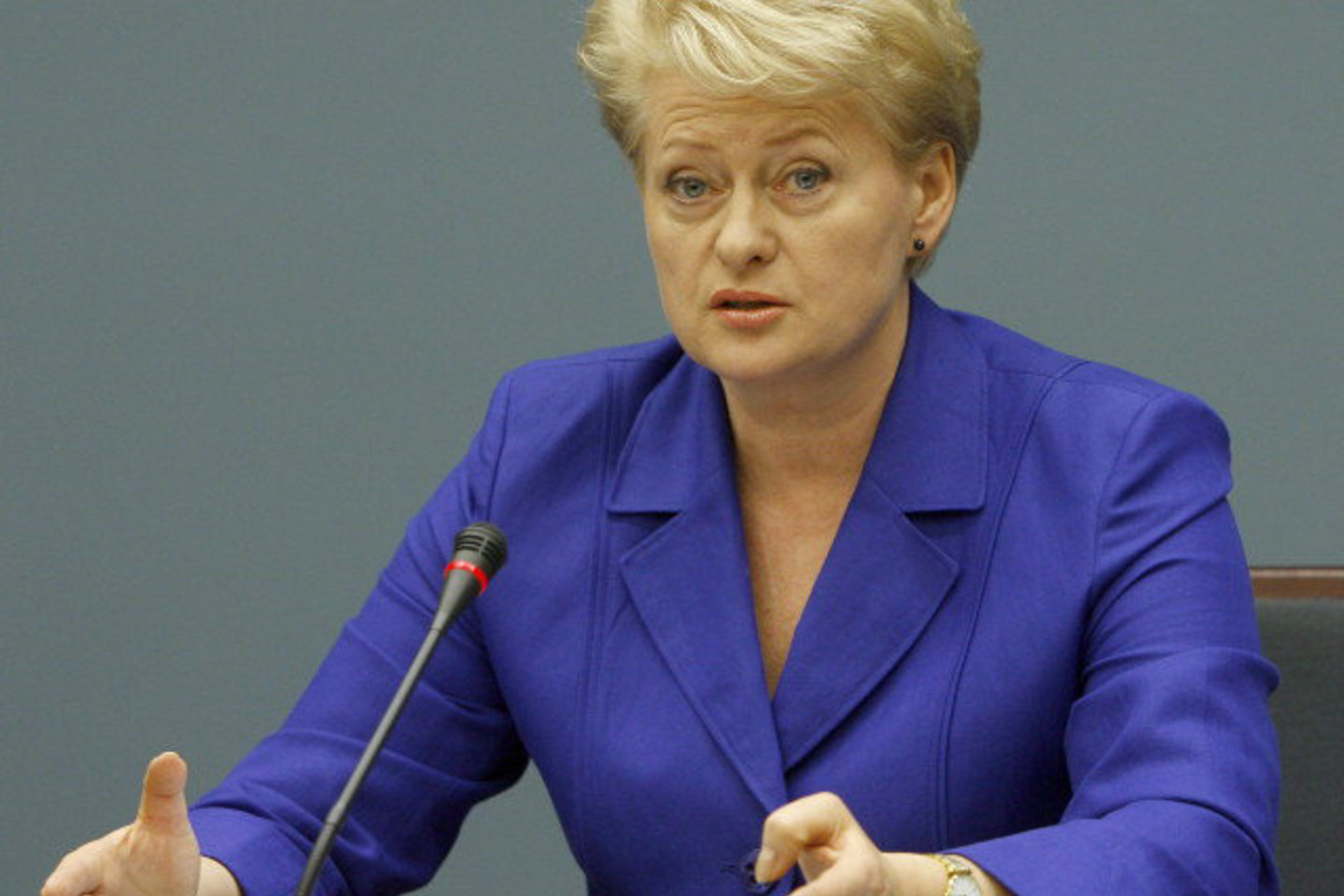 Prezidentė D.Grybauskaitė sudarė darbo grupę Statybos įstatymui tobulinti.