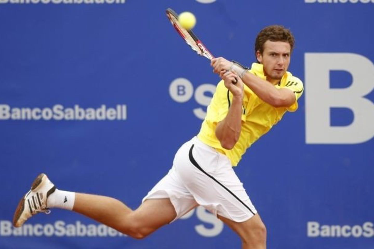 Geriausias Latvijos tenisininkas E.Gulbis yra įveikęs ne vieną žvaigždę.