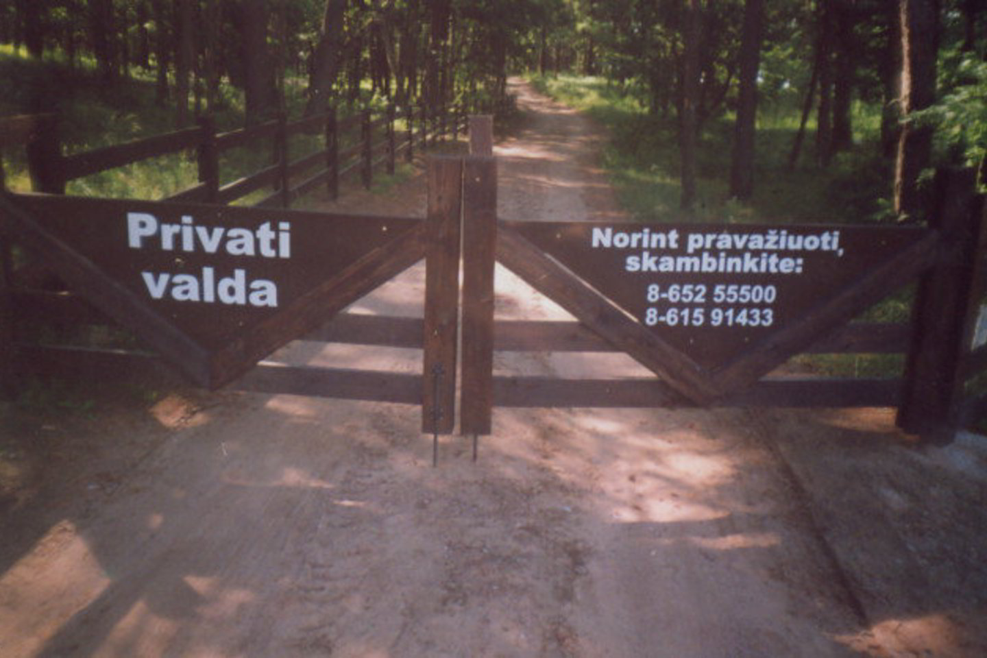 Kelią į Balynų sodybą buvo užtvėrę ant kelio išdygę vartai.