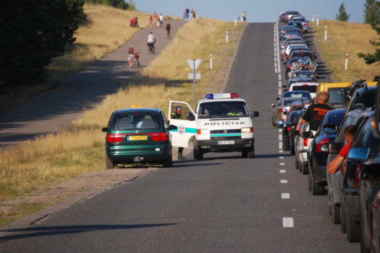 Namo keliaujančius lietuvius piktino policijos veiksmai.