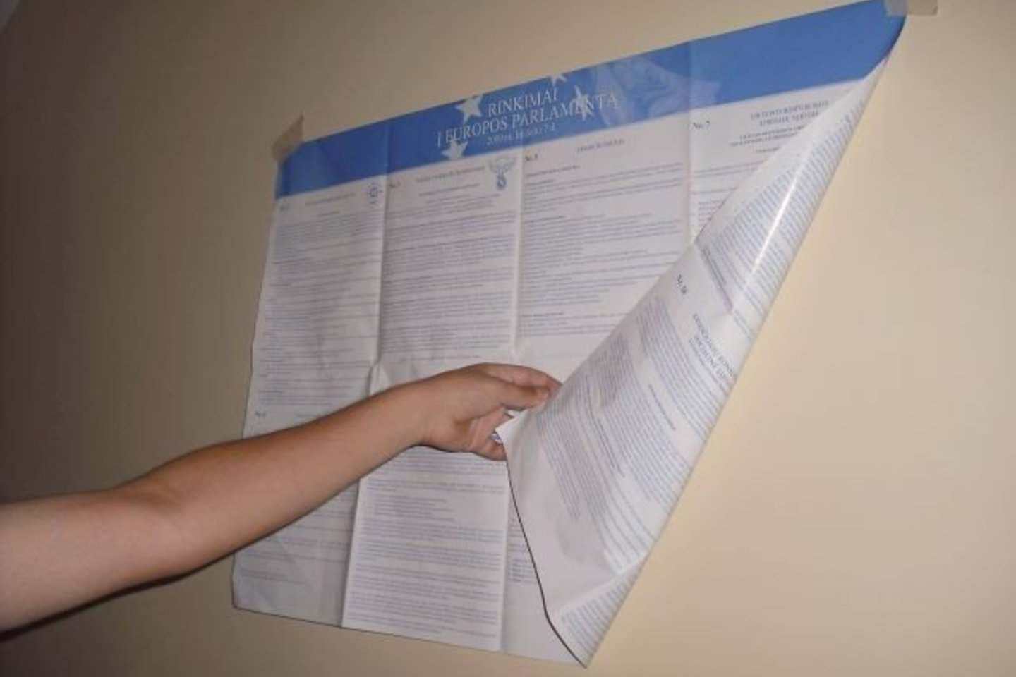 Šie plakatai nustebino ir papiktino rinkimų organizatorius rajonuose.
