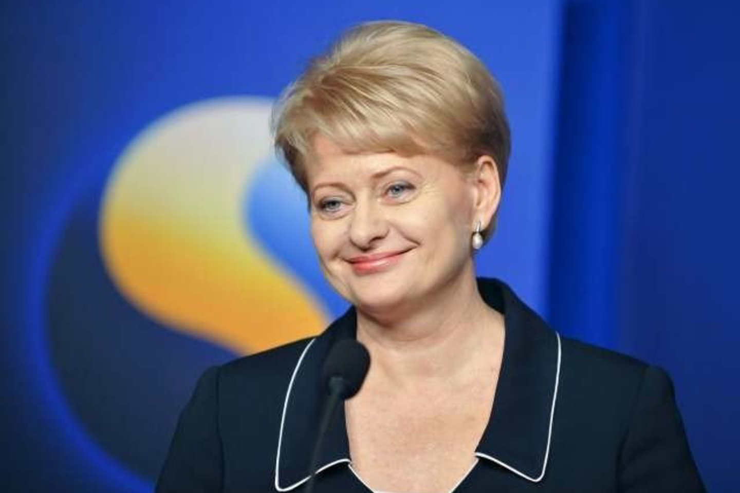 D.Grybauskaitė neatmeta, kad kai kurie VSD vadovai gali keistis.