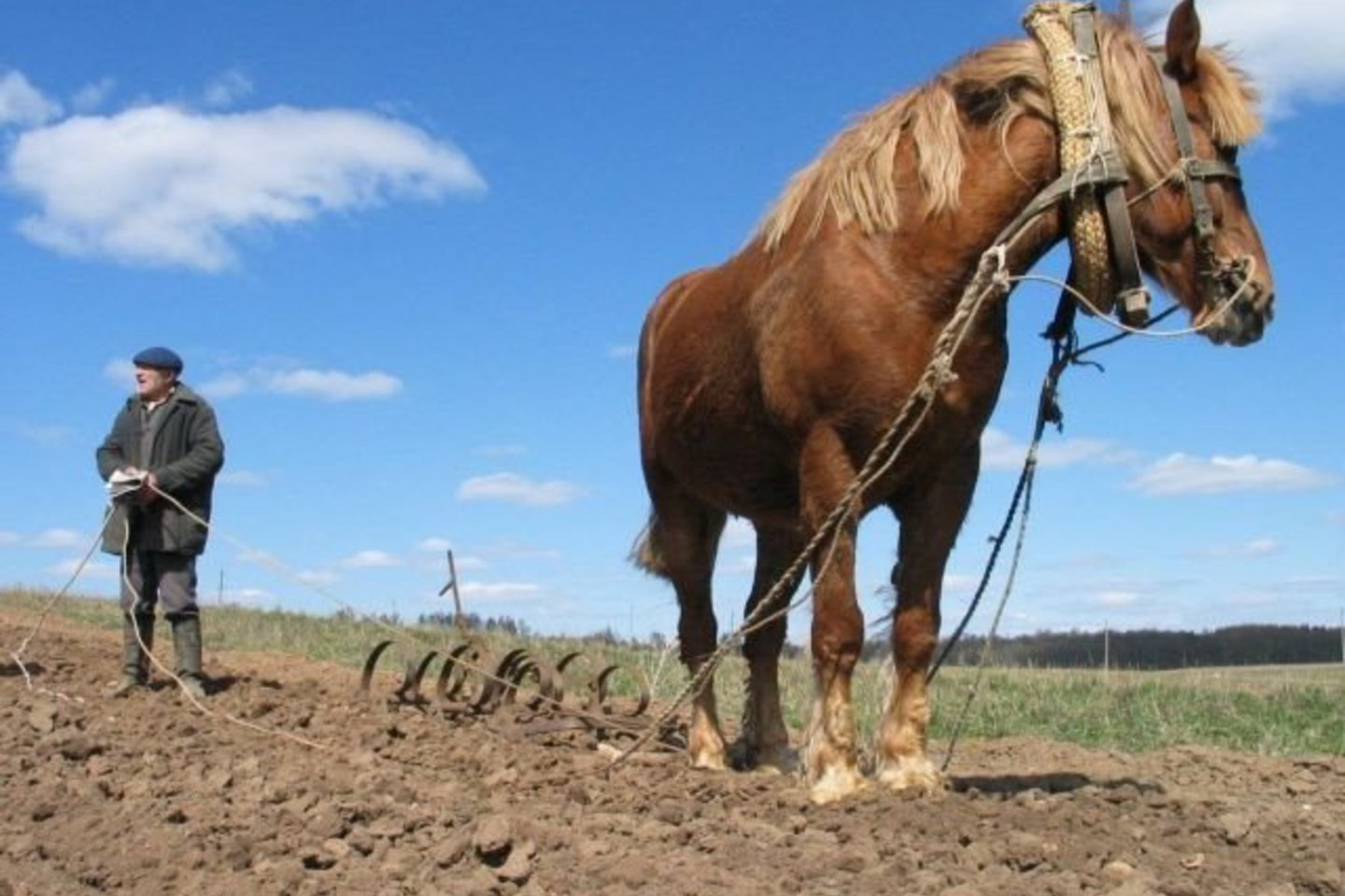 Tėra grįžimas į realybę. Iš iliuzijų pasaulio, kur aukso monetomis sninga.