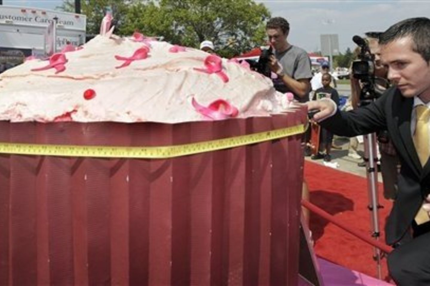 JAV Naujojo Hempšyro valstijoje iškeptas didžiausias pasaulyje keksas, kurio svoris siekia 555,2 kilogramo.
