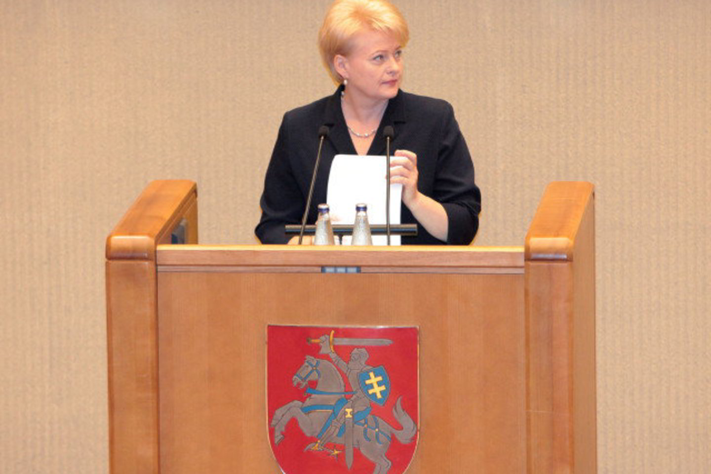 Prezidentė pabrėžė, kad Baltijos kelias suteikė Baltijos šalims nuoširdžią Vakarų valstybių ir demokratinių Rytų Europos jėgų paramą ir palaikymą. O vėliau - ir faktinį valstybių pripažinimą.
