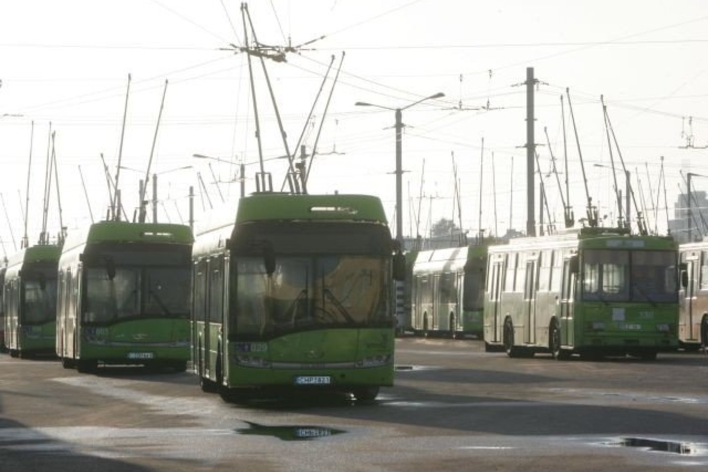 Iš 112 troleibusų kursuoja apie 80 transporto priemonių, važiuojančių troleibusų maršrutais.