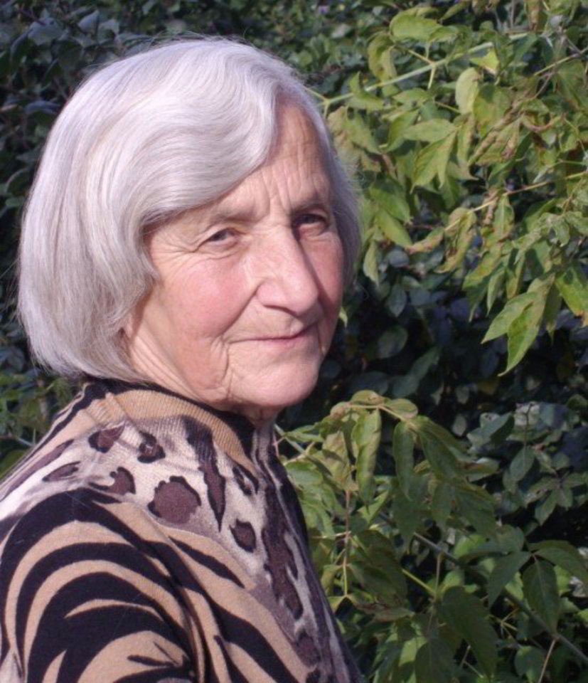 Lazdijiškė N.Vyšniauskienė nė akimirką nesuabejojo, kad rastus pinigus nuneš į policijos komisariatą.