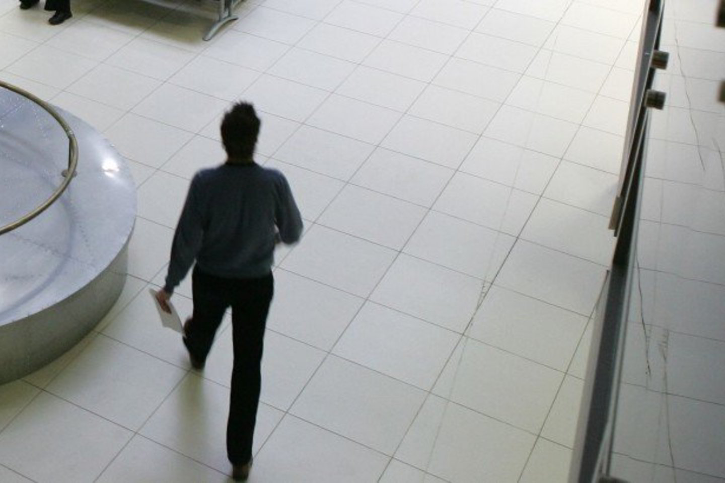 Vidaus reikalų ministerija sako, kad valstybinės įstaigos su nesumažintu darbuotojų skaičiumi ir perpus mažesniu biudžetu išgyventi nesugebės.