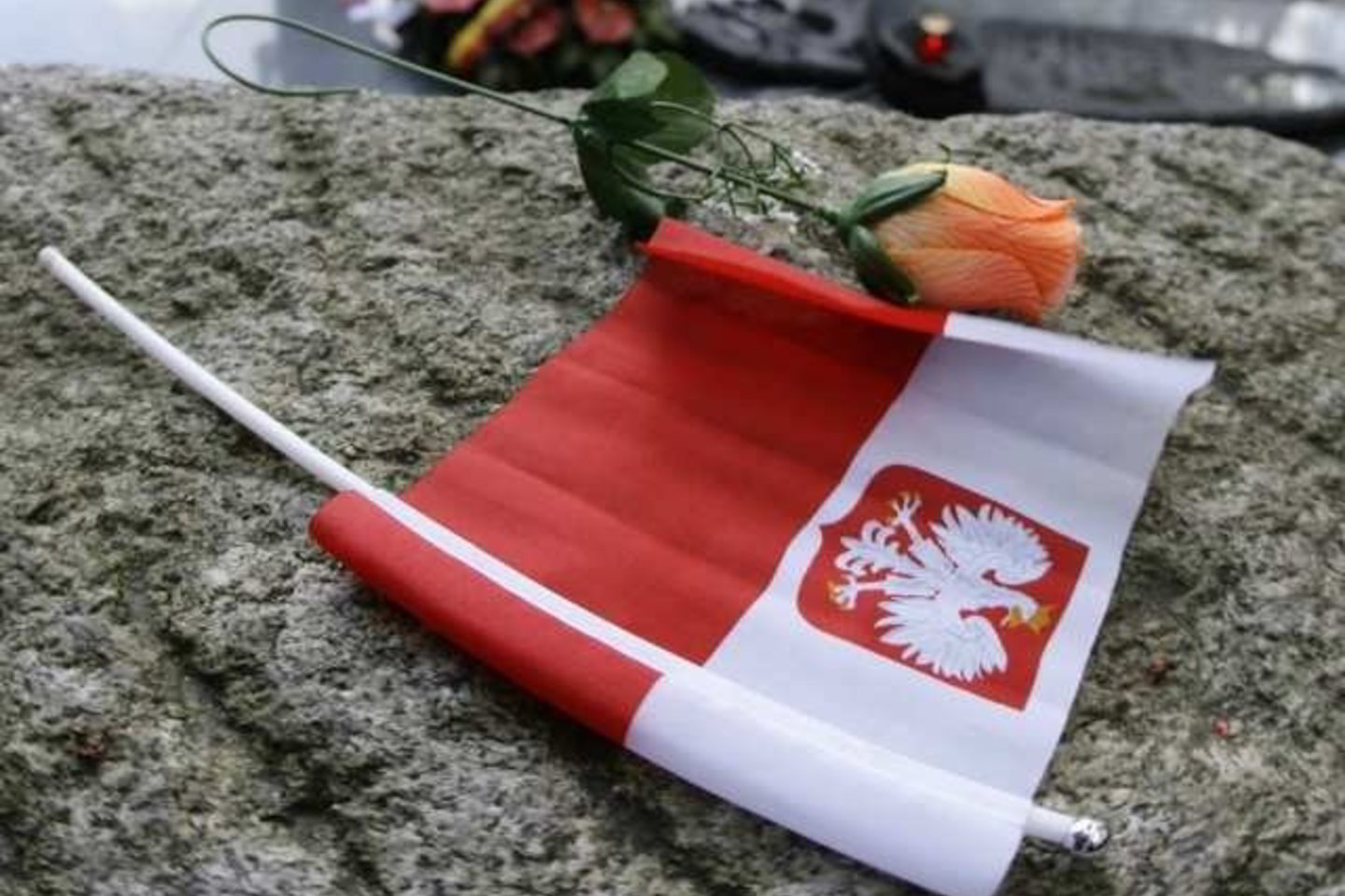 Rusų generolo komentarai ypač provokuojami dėl to, kad buvo pareikšti per karo pradžios metines.