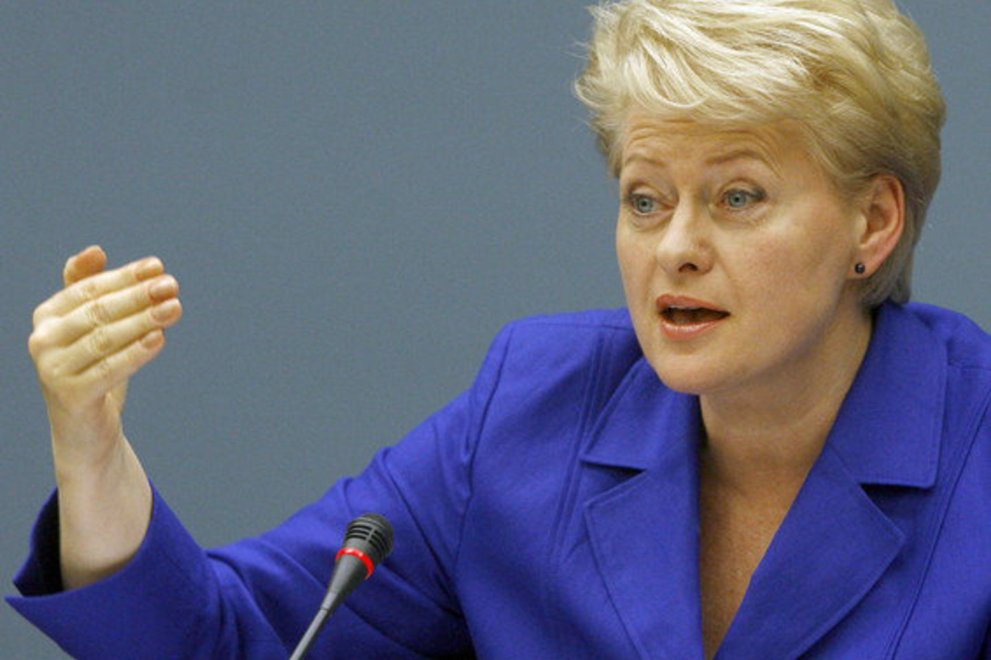 D.Grybauskaitė nuo kadencijos pradžios stebi LEO LT likimą.