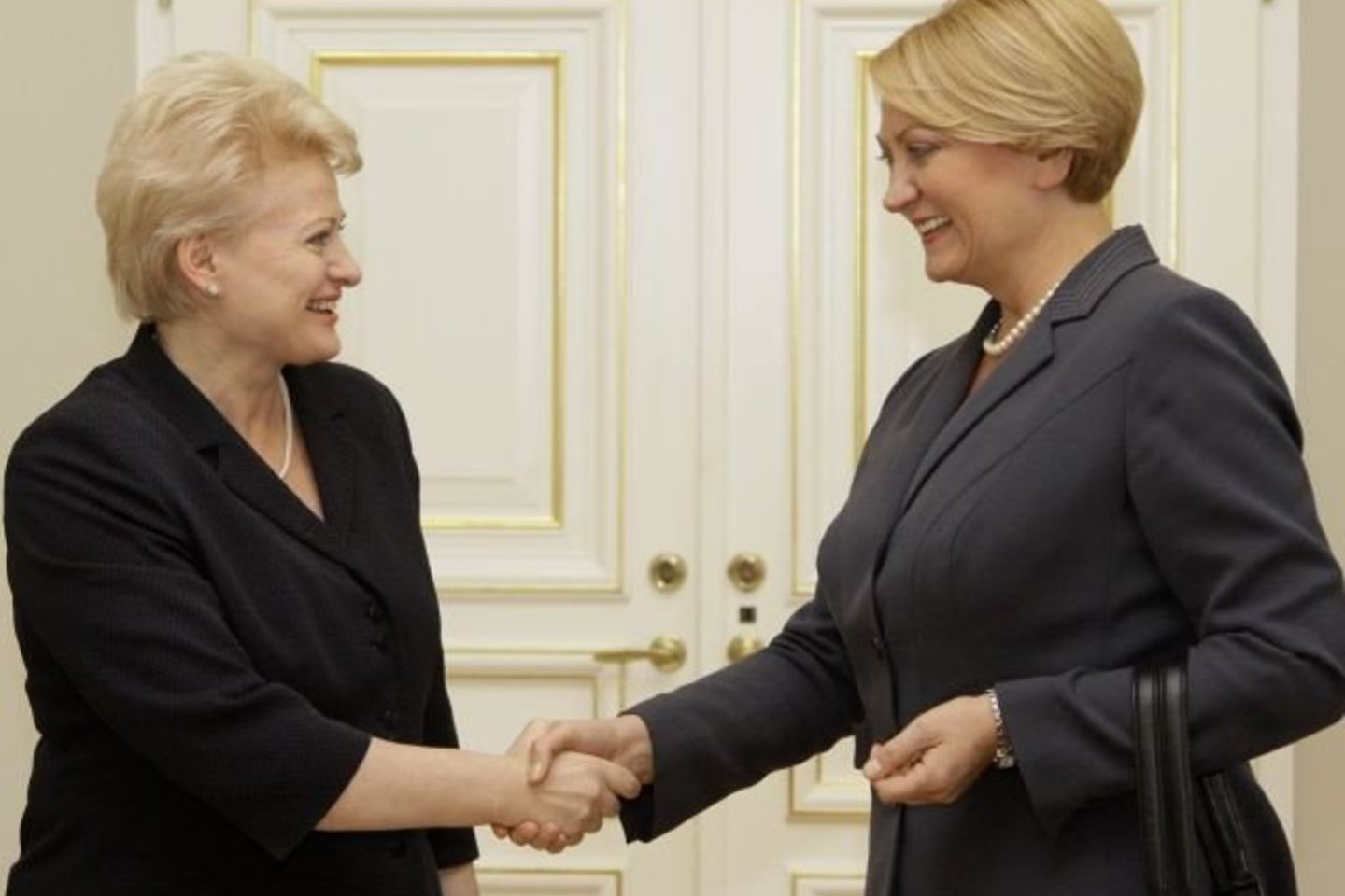 D.Grybauskaitė susitiko su R.Budbergyte.