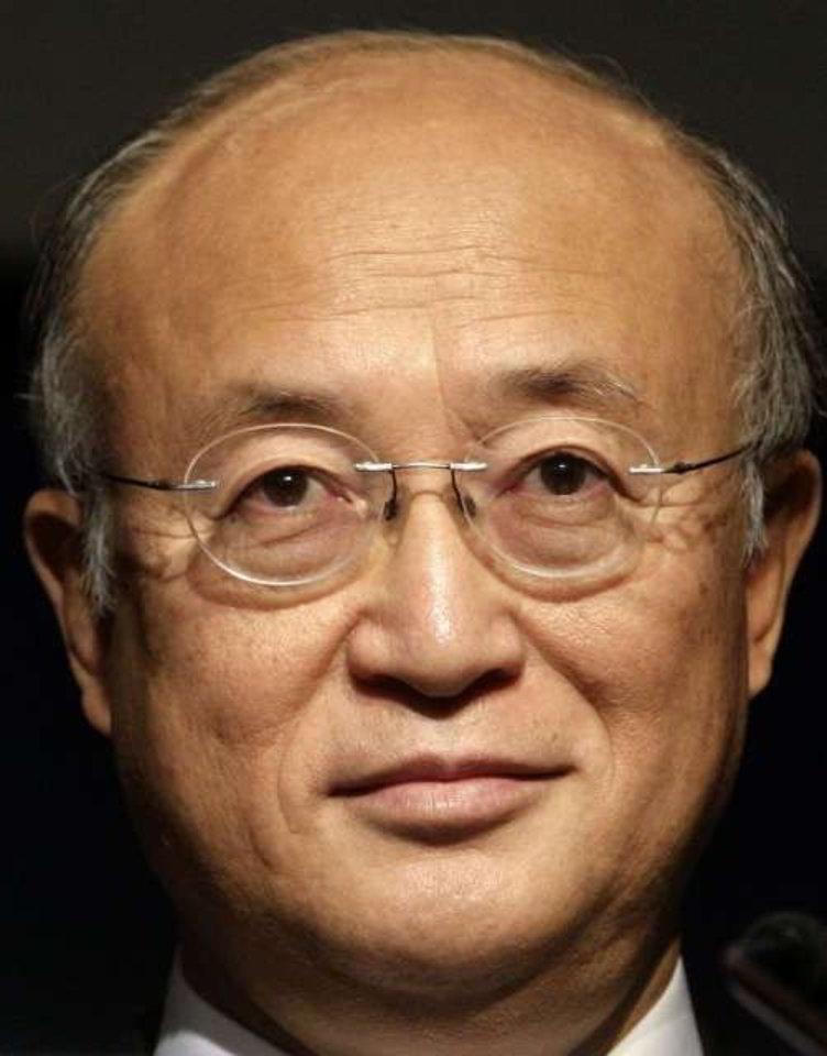 Y.Amano taip pat dalyvavo derybose dėl svarbiausių ginklų kontrolės dokumentų, įskaitant Branduolinio ginklo neplatinimo sutartį ir kitus susitarimus dėl balistinių raketų, biologinių ir įprastų ginklų.