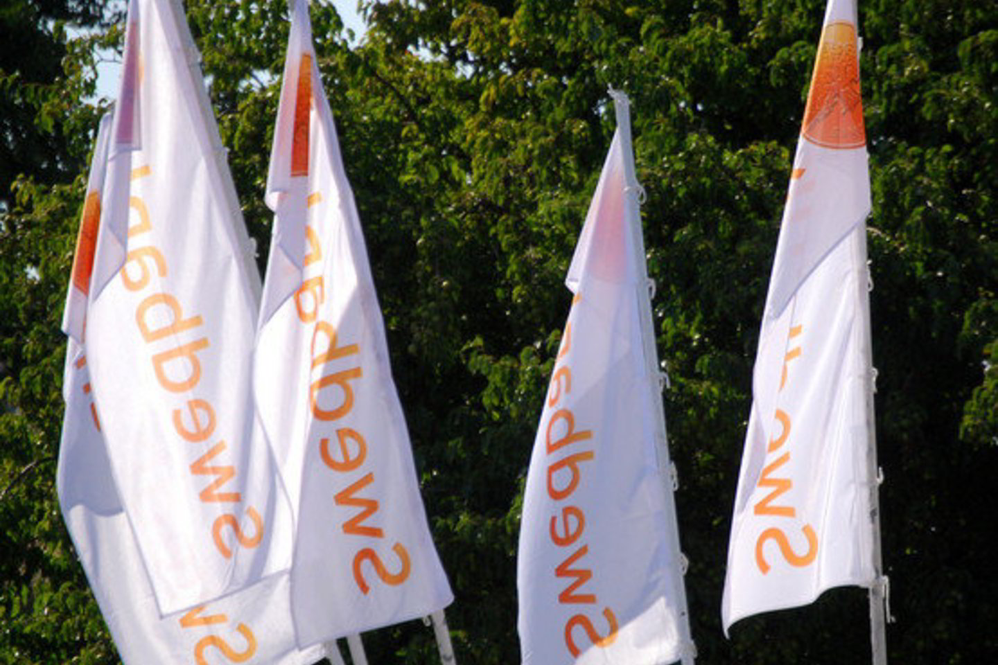 „Swedbank“ - ketvirtas pagal dydį Švedijos bankas - smarkiai nukentėjo dėl Baltijos šalyse ir Ukrainoje augančių paskolų nuostolių pasaulyje kilus finansų krizei.