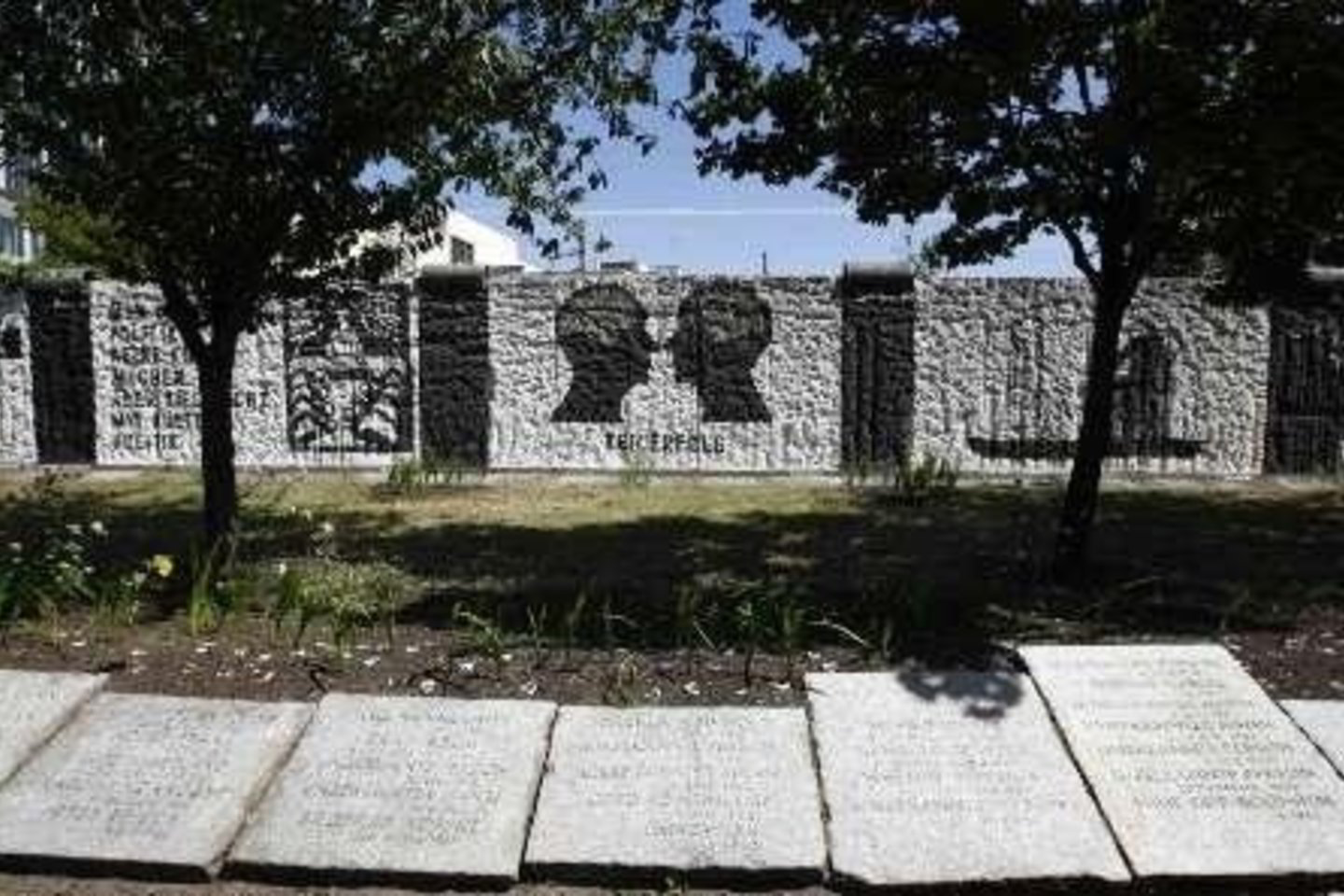 Apklausus 1 002 žmones paaiškėjo, kad 82 mln. gyventojų turinčioje šalyje apie 15 proc. žmonių ilgisi laikų, kai Vokietija buvo padalyta.