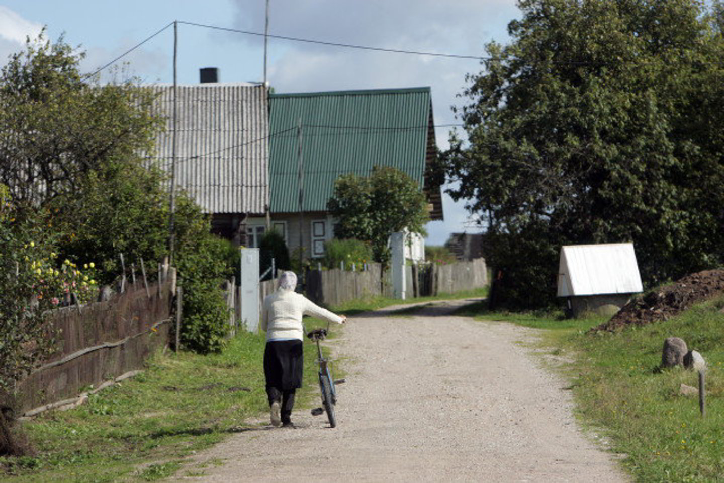 Vidutinės pensijos bus mažinamos maždaug 4 proc., didesnės - labiau.