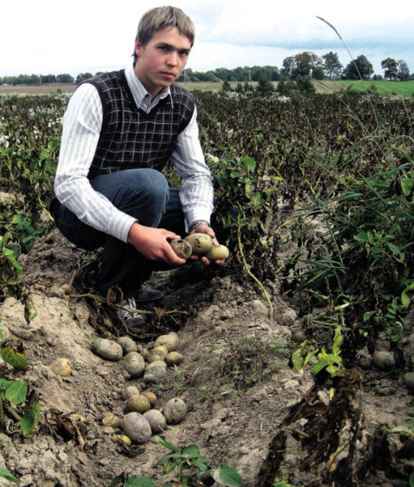 Paulius Rimeikis bulvių lauke parodė, kokios žalos jiems padarė gervės.