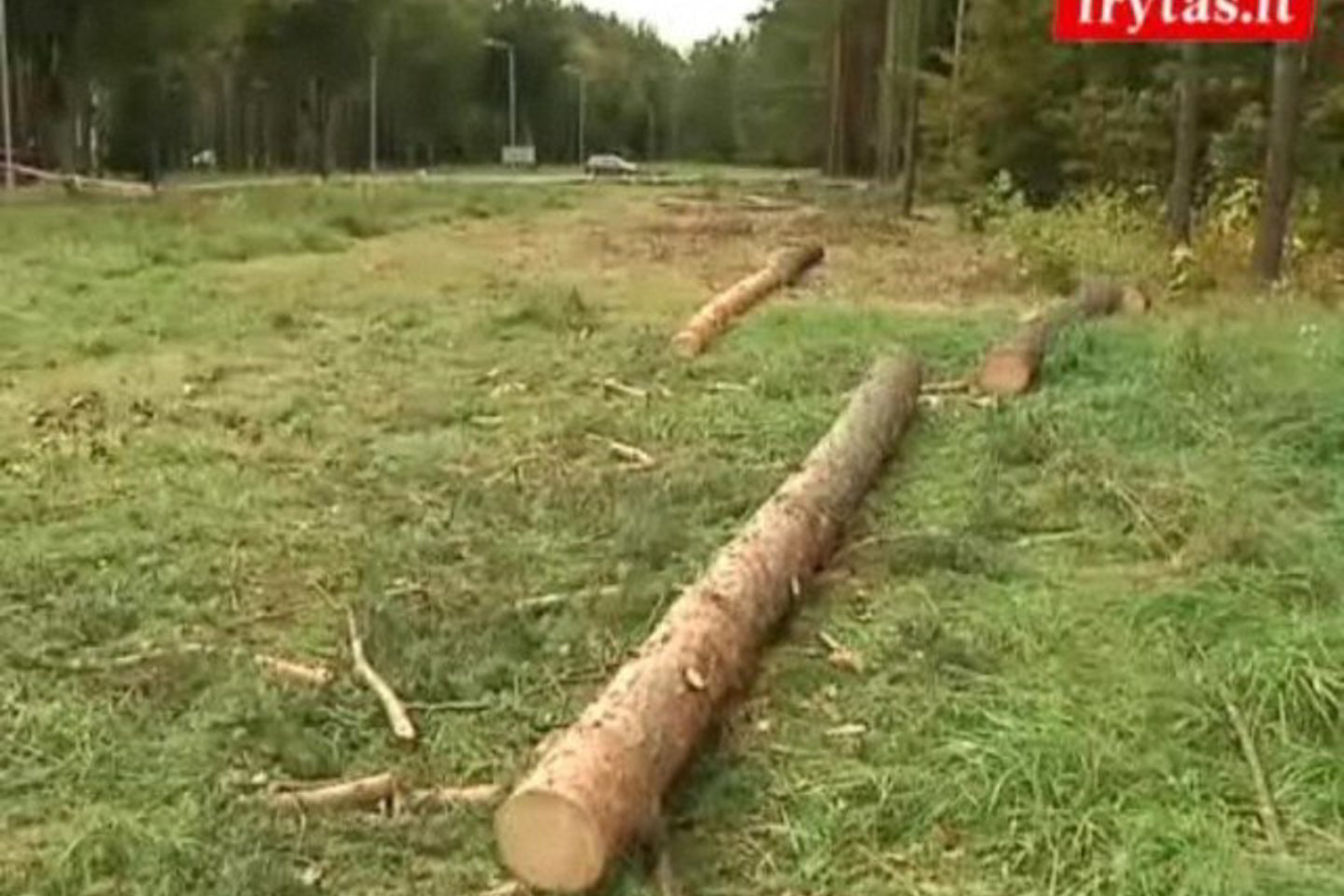 Medžiai Vadovybės apsaugos departamentui trukdo naujos tvoros statybai.