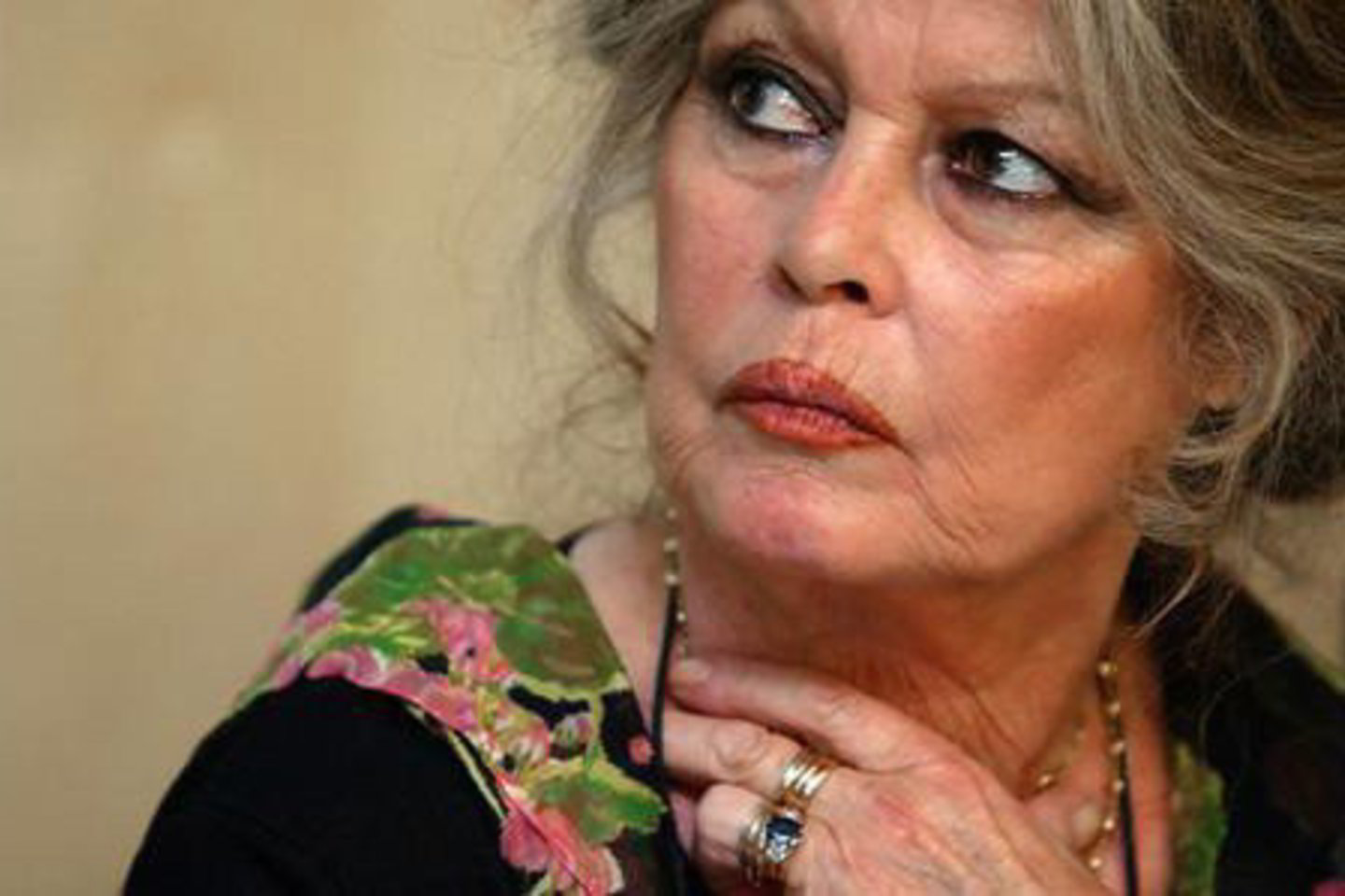 B.Bardot garsėja kaip aktyvi gyvūnų gynėja.