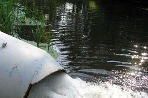 Už Šyšos upės taršą – 2,3 mln. litų ieškinys