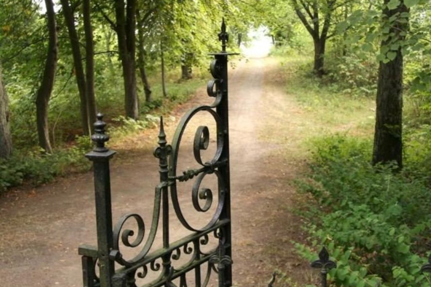 Išnykusio Kopgalio žvejų kaimo kapinaitės retai lankomos.