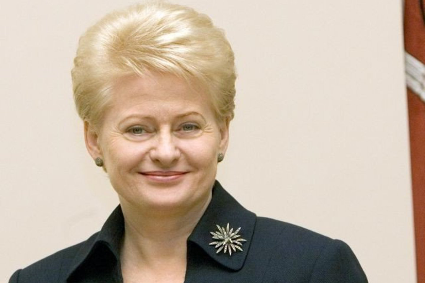 Straipsnio autorius pažymi, kad D.Grybauskaitė yra iš naujos nedidelės ES narės, kurios geografinė padėtis yra beveik ideali, siekiant paaiškinti lenkams, kad karas jau baigėsi.