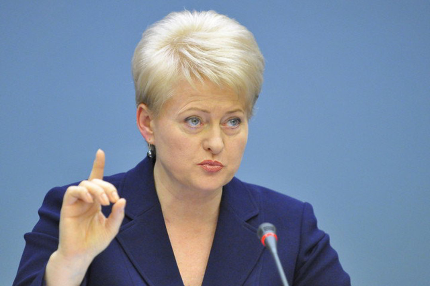 D.Grybauskaitės teigimu, dabar politikai daugiau dėmesio skiria ne politinės atsakomybės prisiėmimui, o „valdžios dalyboms“.