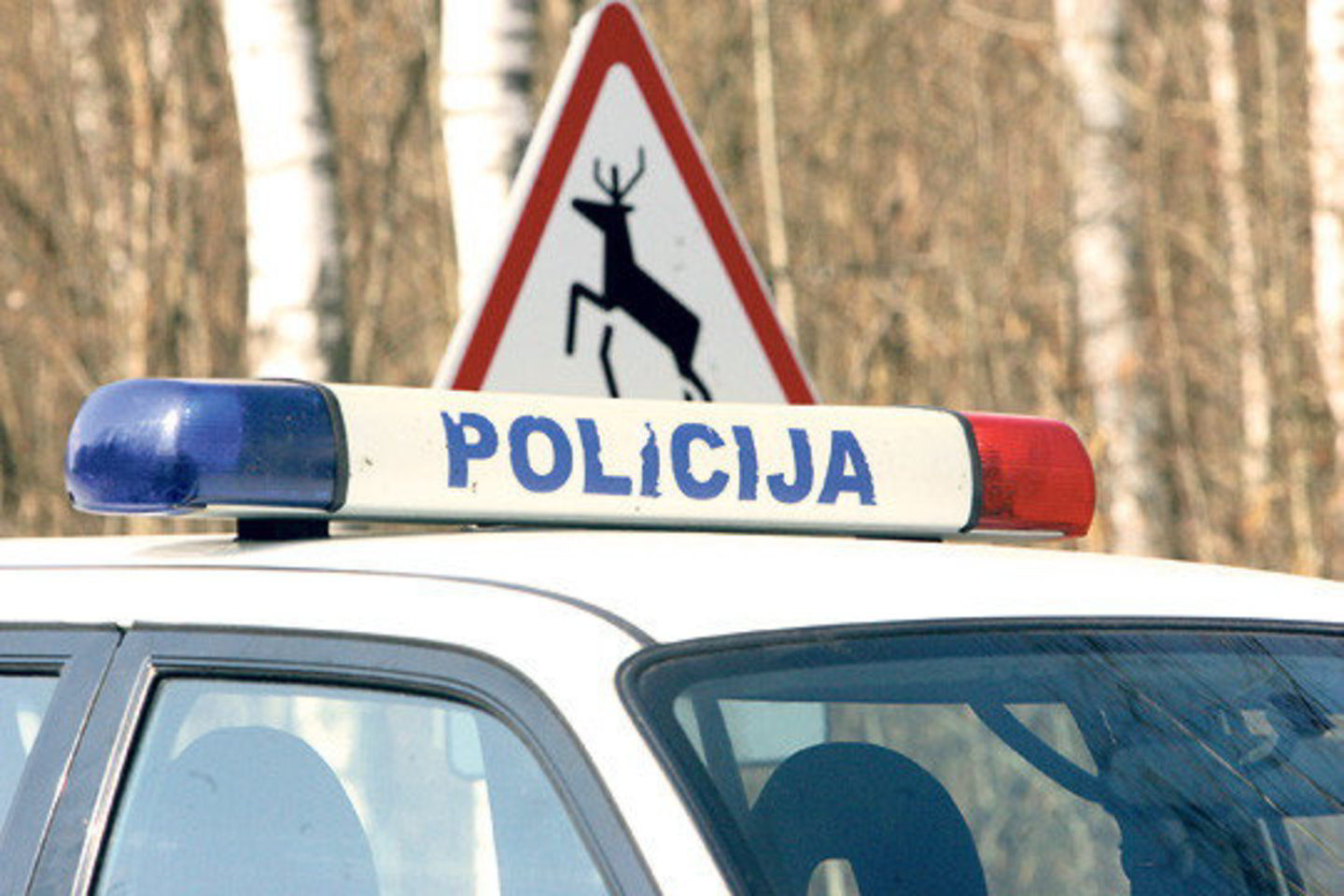 Susidūrę su laukiniais gyvūnais, vairuotojai jau ne vienerius metus kovoja, kad kelininkai šiai problemai skirtų daugiau dėmesio.
