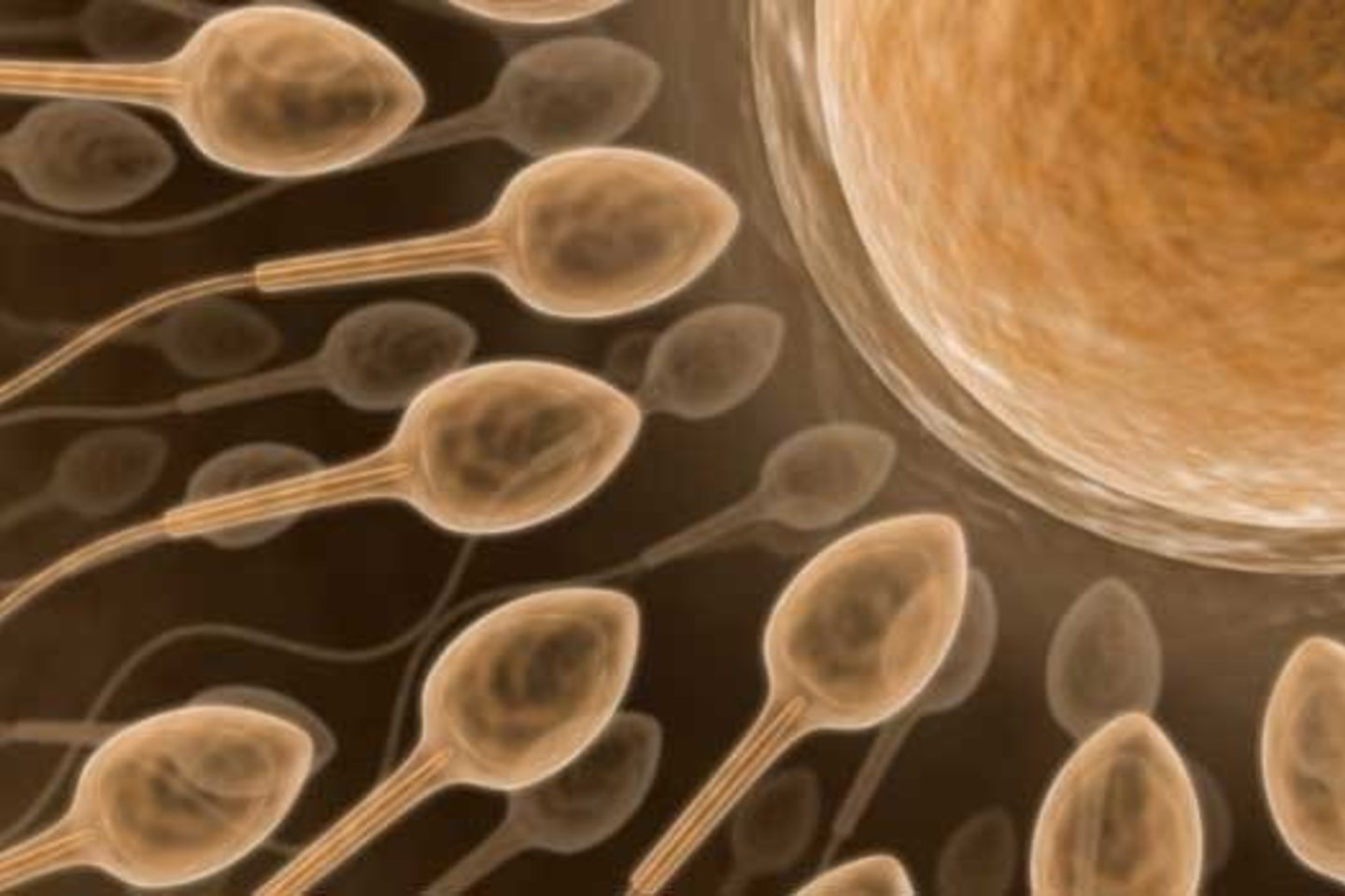 Devintoje chromosomoje esantis genas yra siejamas su augimu po gimimo. Jis paprastai atkeliauja iš tėvo chromosomos.