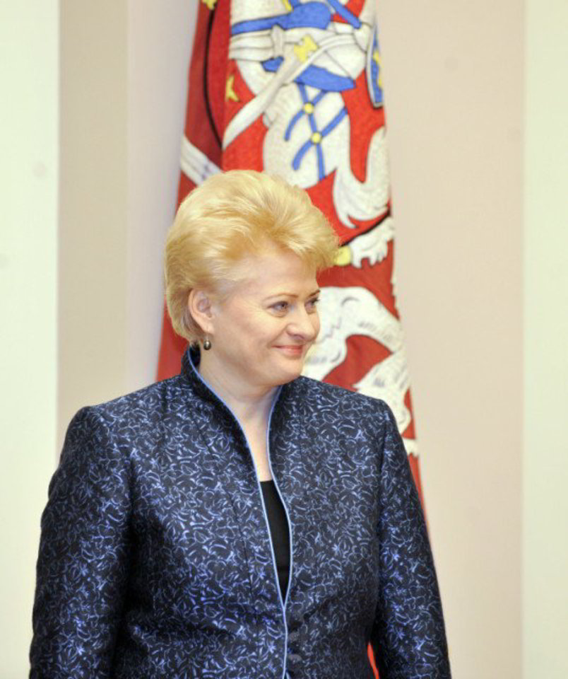 Pasak D.Grybauskaitės, ne Konstitucinio Teismo darbas aiškinti politikos moralumą.