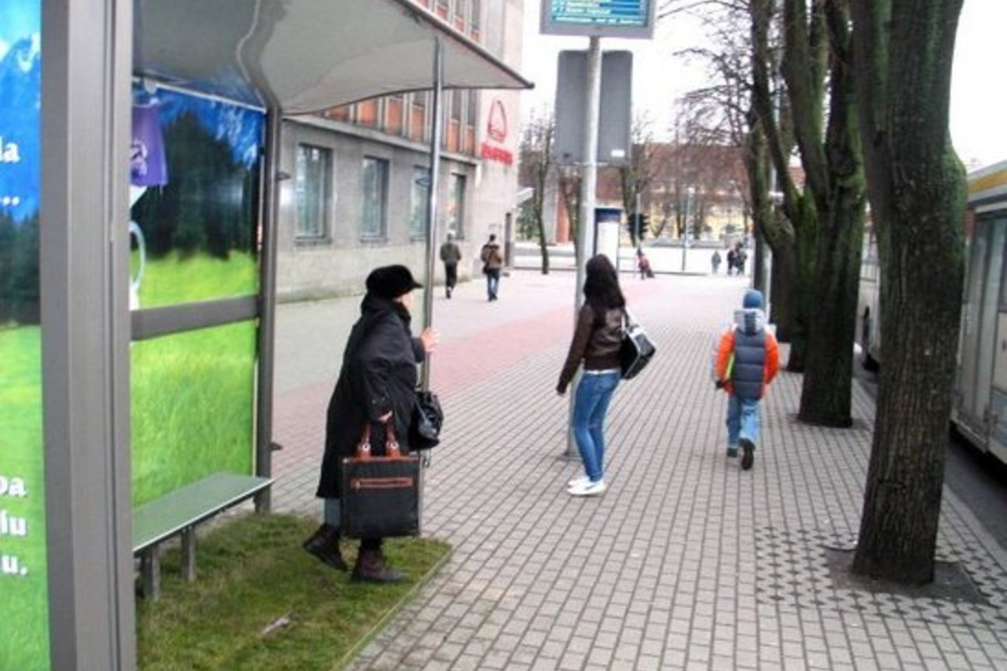 Klaipėdoje, kaip ir dar septyniuose šalies miestuose, žolė autobusų stotelėse žėlė vos porą savaičių.