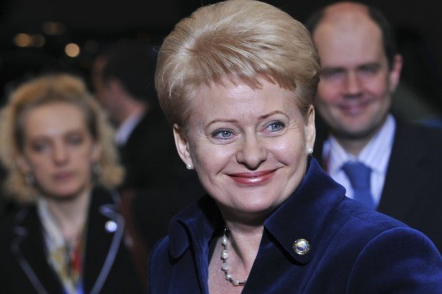Prezidentė D.Grybauskaitė per susitikimą teigė, kad Lietuva skirti lėšų anksčiau nei nuo 2013 metų nenorėtų.