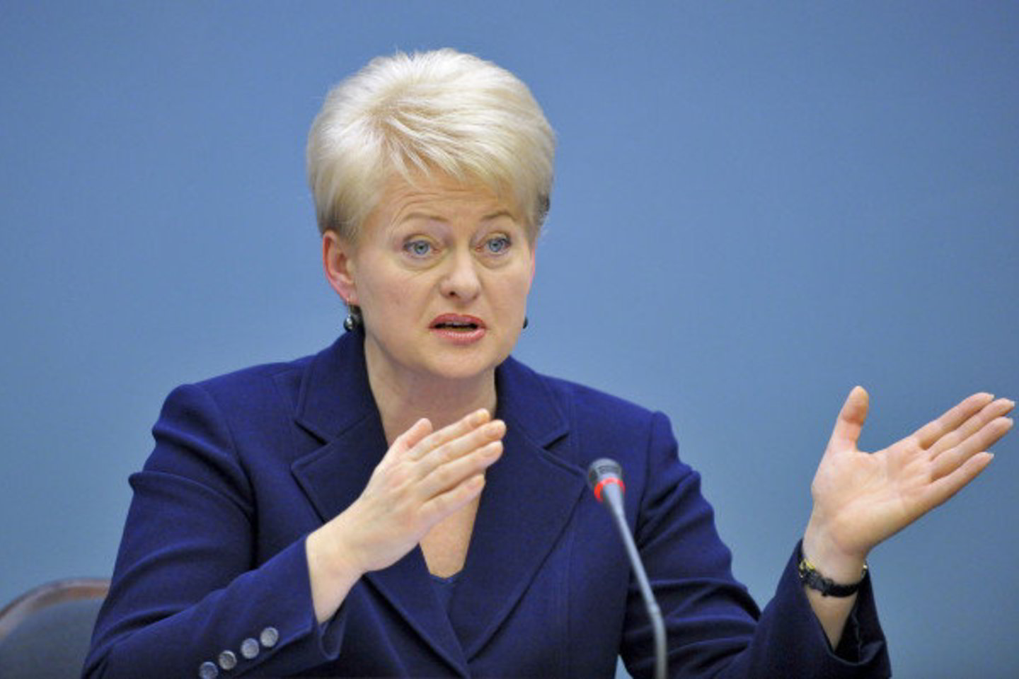 Spalio mėnesį D.Grybauskaitė išsakė priekaištų Seimo Nacionalinio saugumo ir gynybos komitetui dėl formaliai atliekamo tyrimo ir pareiškė turinti „netiesioginių įtarimų“, kad Lietuvoje galėjo veikti slaptas CŽV kalėjimas.
