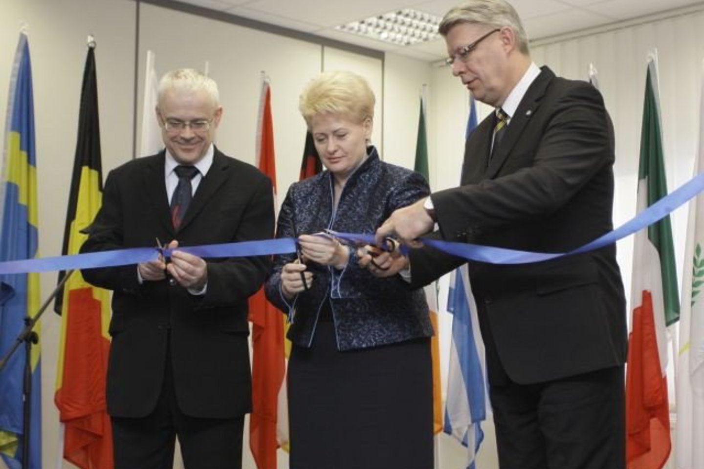 Juostelę perkirpo Europos Komisijos narys Vladimiras Špidla, prezidentė Dalia Grybauskaitė ir Latvijos prezidentas Valdis Zatleras.
