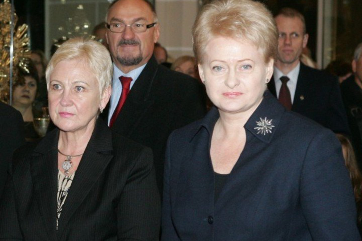I.Degutienė (kairėje) spėliojo, kodėl D.Grybauskaitė atšaukė M.Laurinkų.