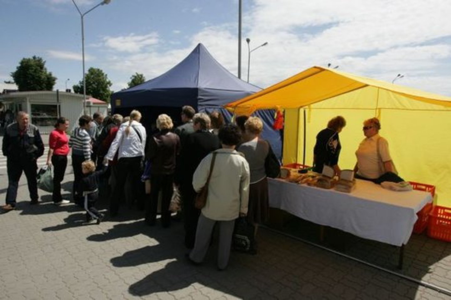 Dar sausį Vyriausybė nusprendė, jog Lietuvos turguose prekiautojams žemės ūkio produkcija privalomų kasos aparatų nebus, nors juos įvesti planuota nuo vasario 1 dienos.
