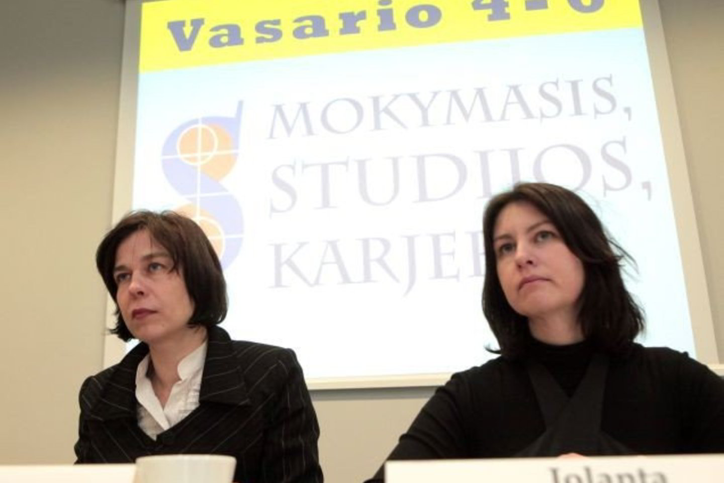 Anot N.Putinaitės, parodoje bus pristatoma daugelis profesinio mokymo įstaigų - tikimasi, kad jų pristatymai sudomins dalį abiturientų.
