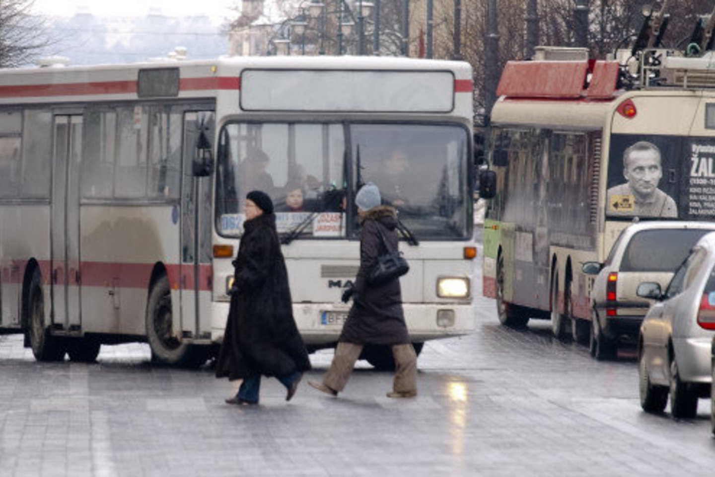 Netrukus sulauksime atoveiksmio valdžios politikai: autobusai neatitiks keliamų reikalavimų, ir dėl to gali kilti pavojus keleivių saugumui.