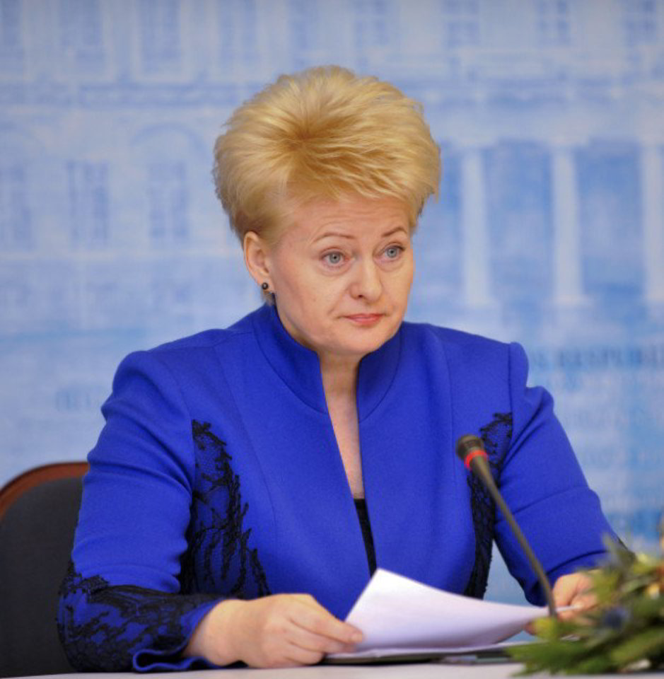 Prezidentė D.Grybauskaitė siūlo išplėsti „Baltijos šalių“ sąvoką nuo trijų iki aštuonių valstybių.