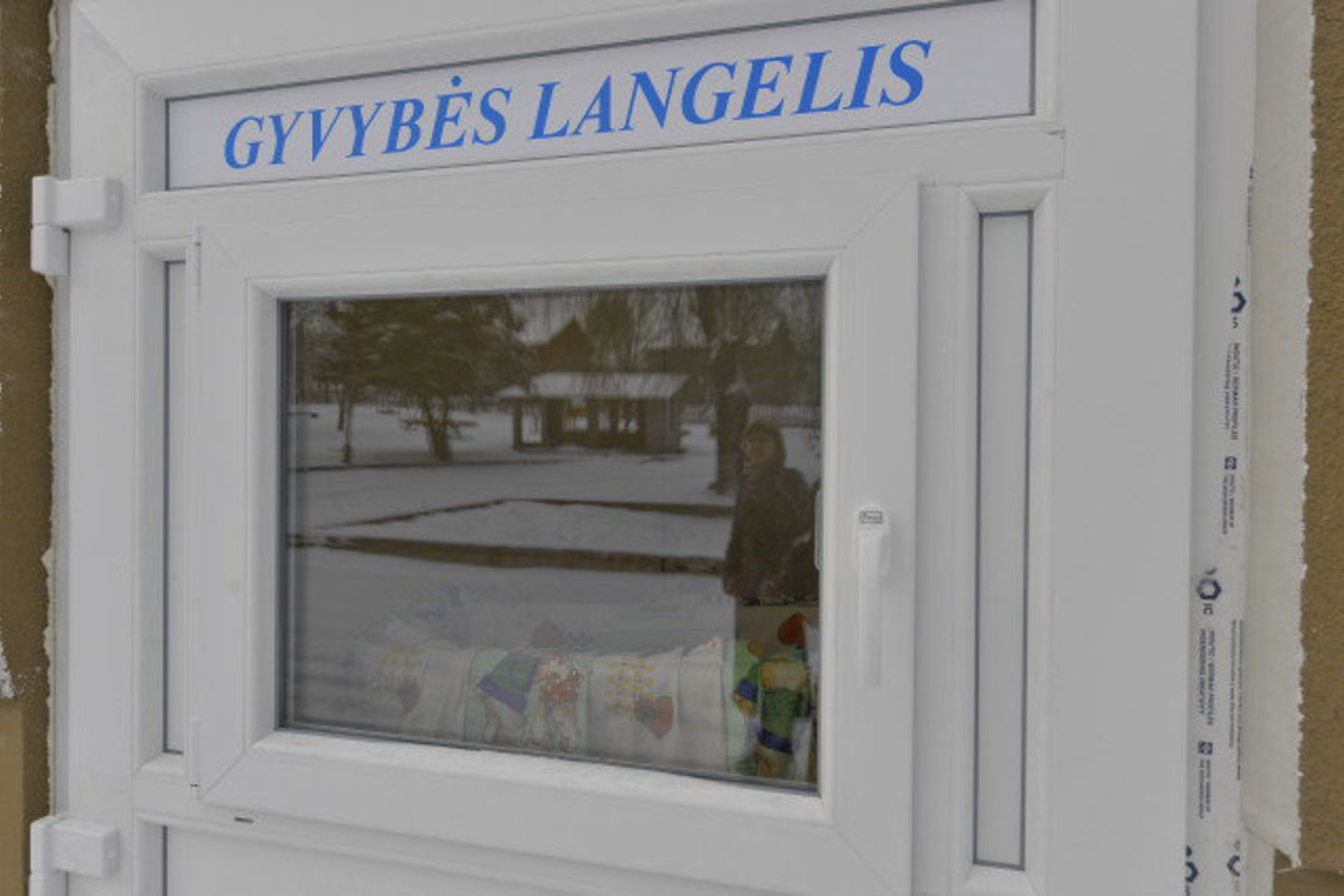 Gyvybės langeliai šiuo metu veikia Vilniuje, Klaipėdoje ir Panevėžyje.