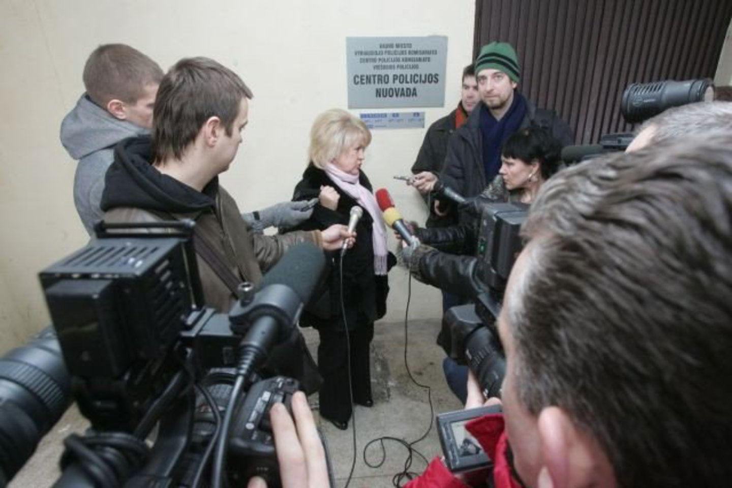 A.Skučienė apklausą policijoje vertina kaip spaudimą.