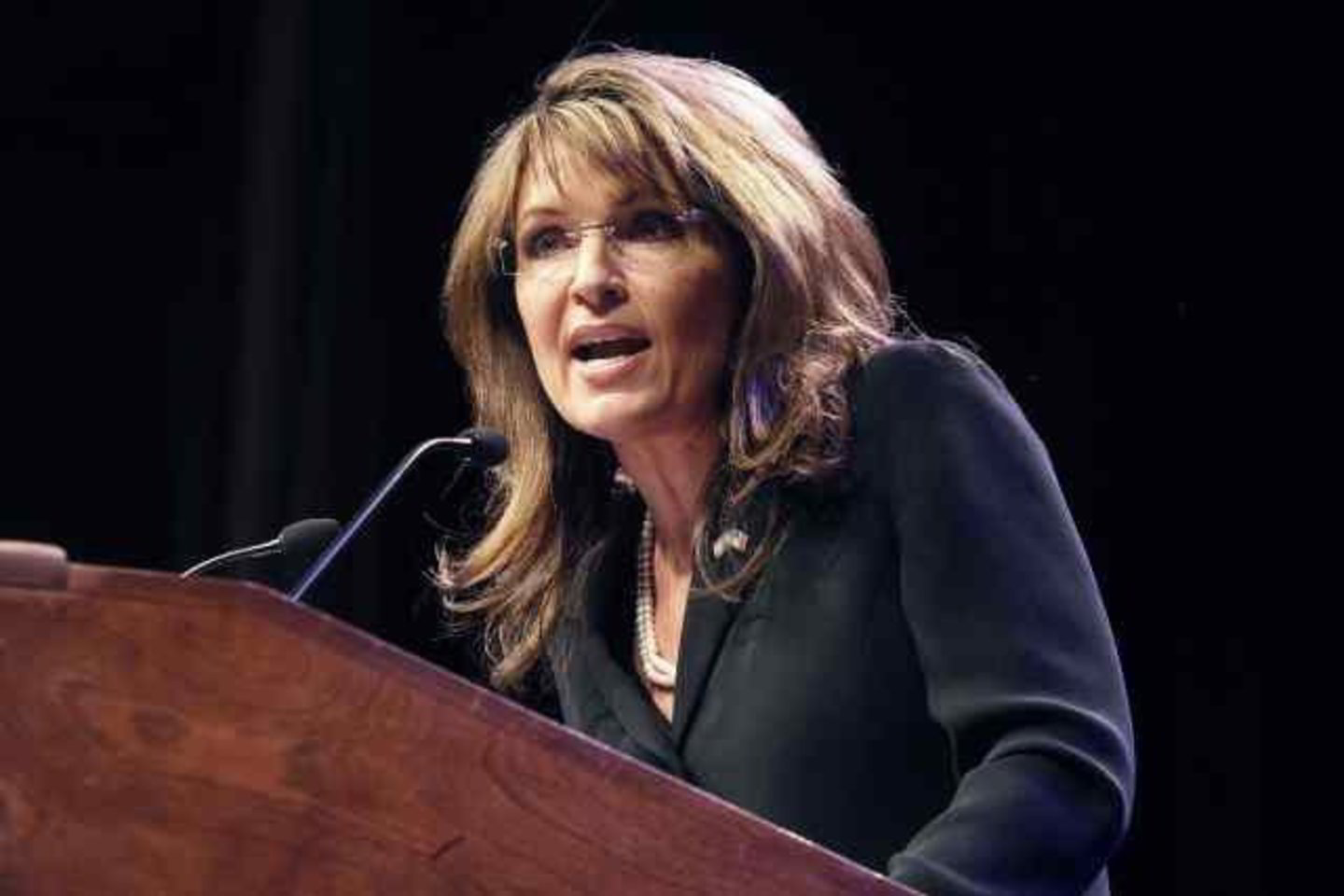 S.Palin pareiškė, kad Amerika yra pasiruošusi naujai revoliucijai.