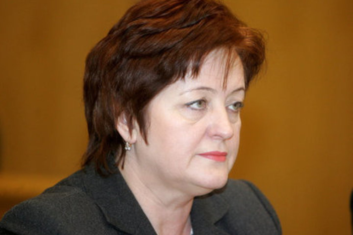 N.Dirginčienei pateikti įtarimai dėl kyšio priėmimo ir piktnaudžiavimo, siekiant asmeninės naudos.