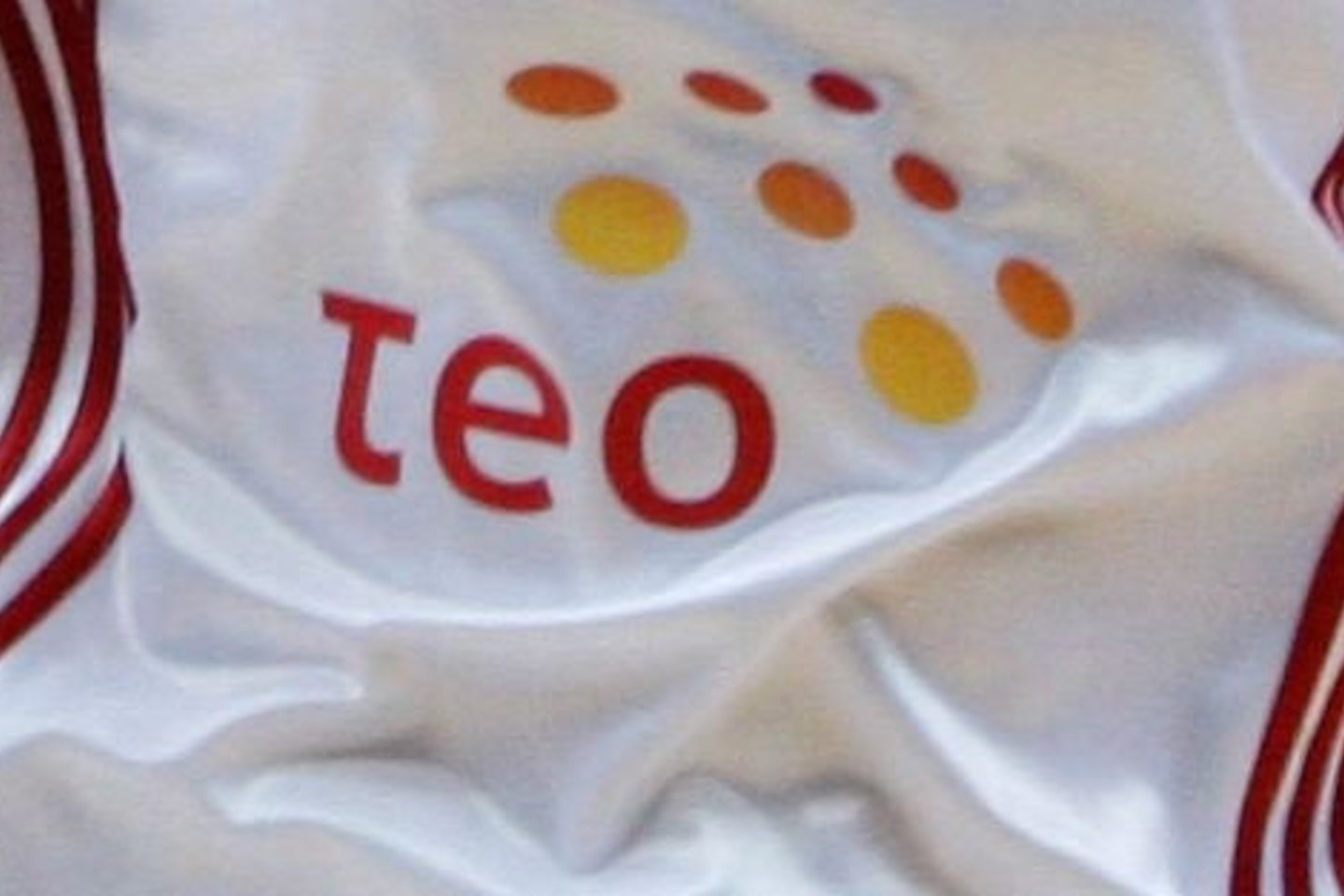 2009 metų pelnas, neatskaičiavus pelno mokesčio, sudarė 198 mln. litų (2008 metais jis sudarė 190 mln. litų).