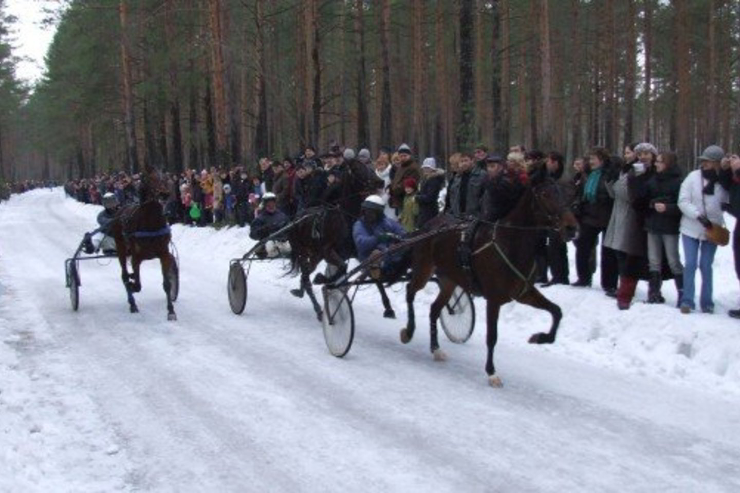 Lenktynių trasa nusidriekė miško keliu, kurį apgulė žiūrovai.