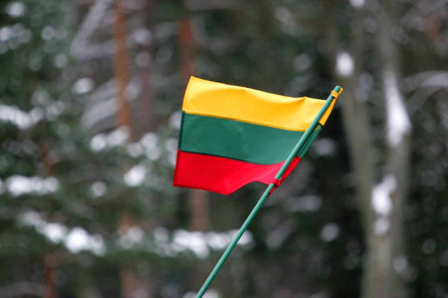 Valstybinių švenčių dienomis Lietuvos valstybės vėliava ant valstybės ir savivaldybės institucijų, įstaigų, kitų įstaigų, įmonių ir organizacijų, pastatų, gyvenamųjų namų turi plevėsuoti nuo 7 iki 22 valandos.