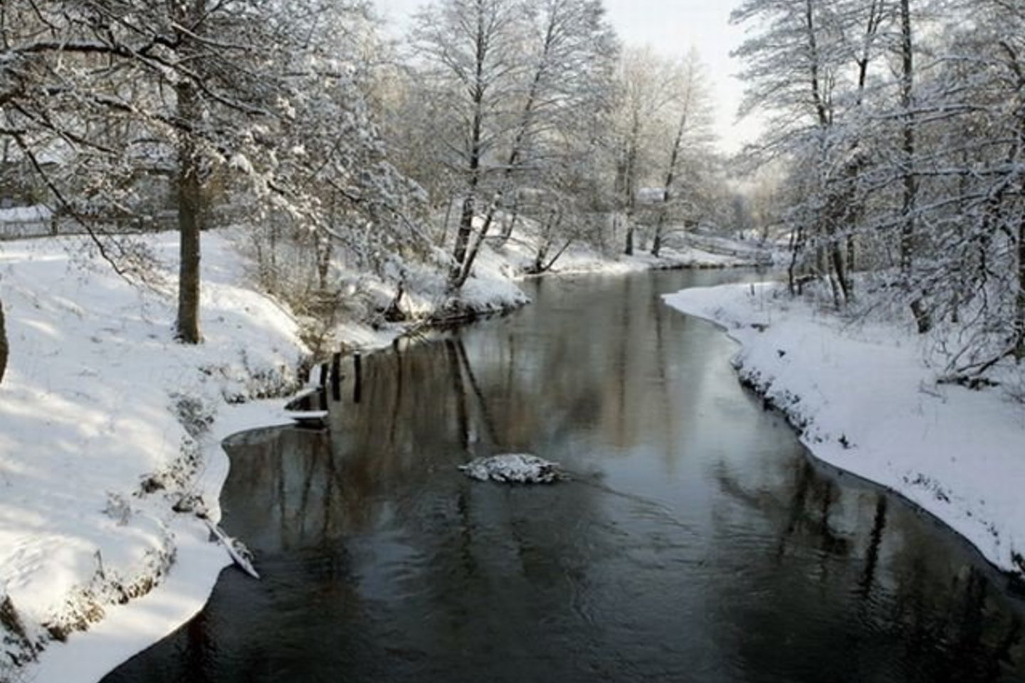 V.Ščiavinskas