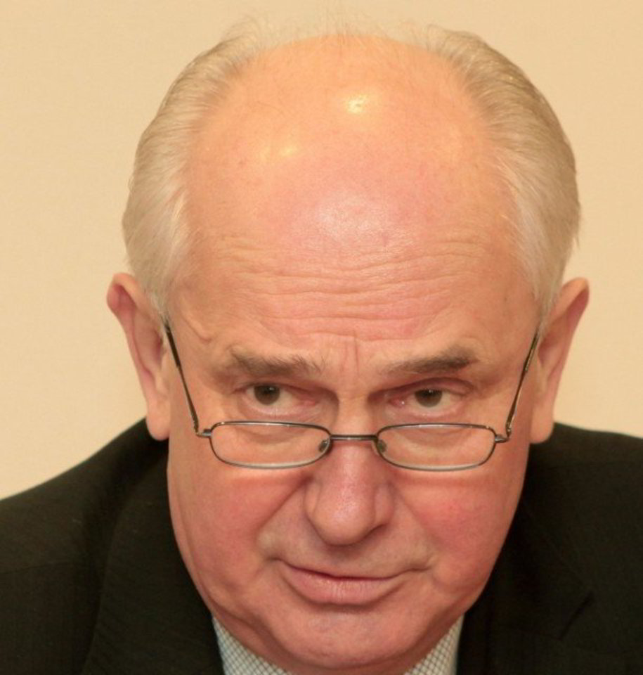 R.Šarkinas: „Vien tik euro įvedimas problemų neišspręs“.